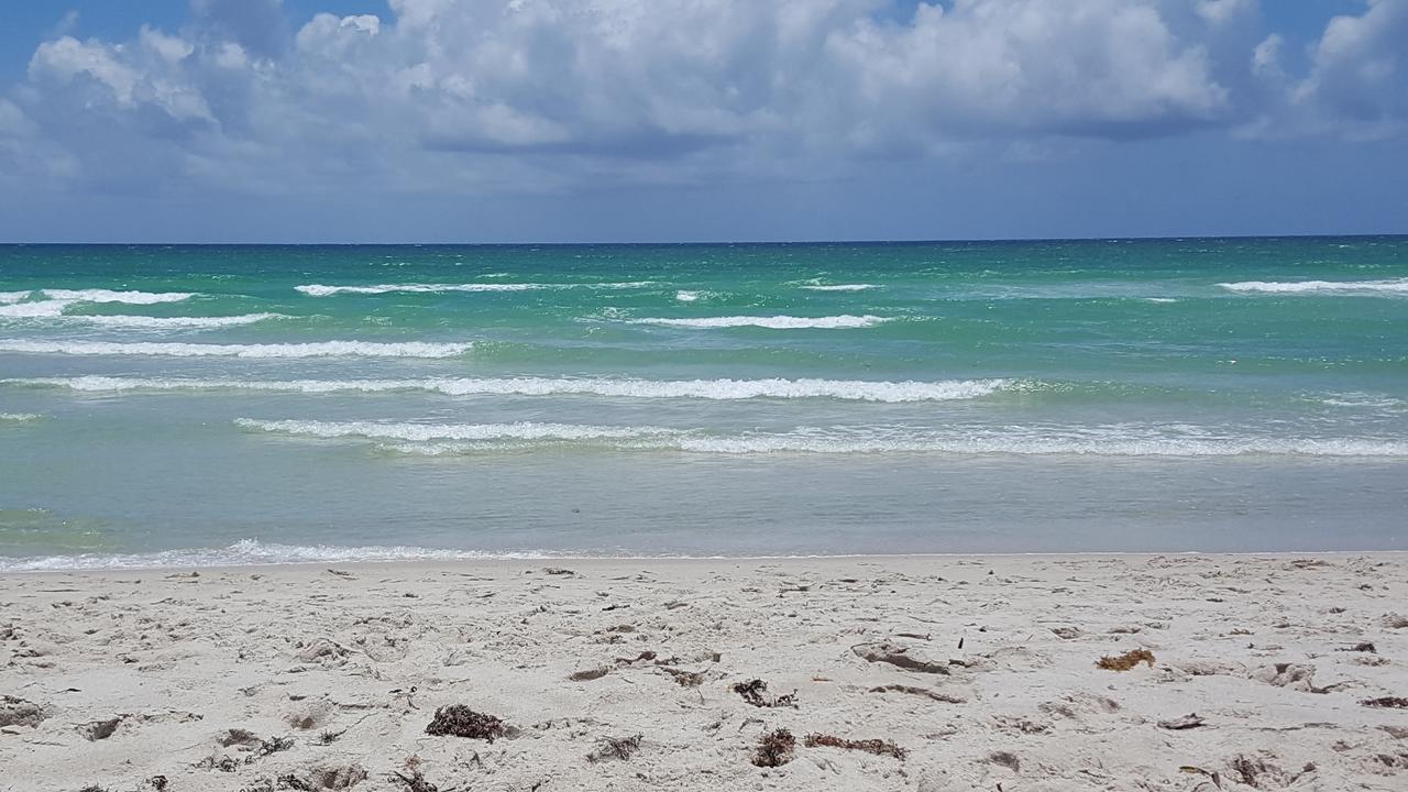 2 Bedroom 2 Bath Beachfront Condo On Miami Beach Millionaire Row Zewnętrze zdjęcie